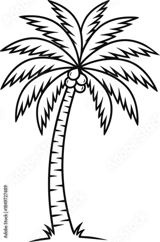 Simple cartoon outline illustration of a tropical coconut palm tree with ripe fruits, ideal for summer vacation themes, beach designs, or playful educational coloring book pages and vector graphics