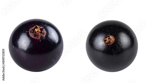 Fresh Black Currant Berry Realistic Detail PNG Transparent Background