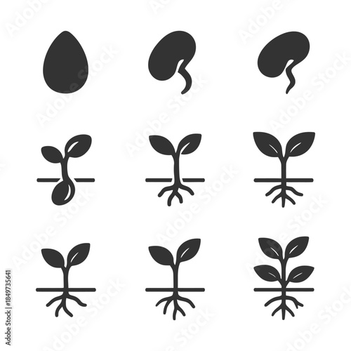 Seed to plant growth stages icons for germination and development.
