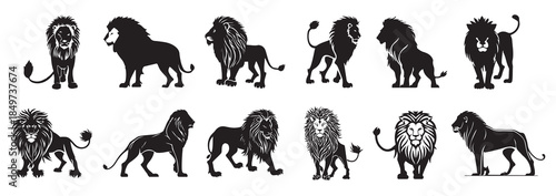  lion king silhouette black logo animals silhouettes icons