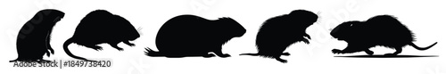 mole silhouette black clipart set 