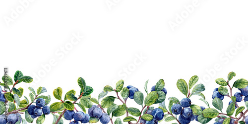 Hand drawn horizontal seamless Border with blueberry branches