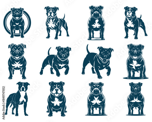 Staffordshire Bull Terrier Svg