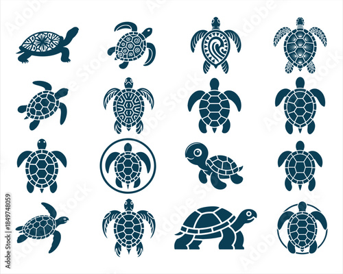 Turtle Svg