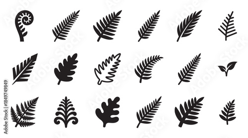 Collection of black fern leaf icons and frond silhouettes in various graphic styles, including a koru fiddlehead, presented as a botanical design element set for nature themes