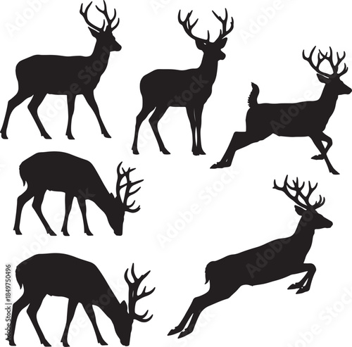 Set of six black silhouettes of deer with antlers in diverse postures such as standing, grazing, and jumping, showcasing the elegance and movement of these wild animals also transparent background