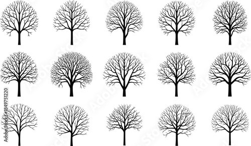 Bare tree silhouettes set with different branch shapes isolated on white background winter nature forest vector illustration collection