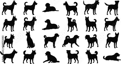 Dog silhouette set showing various breeds and poses including standing, sitting, walking, and lying positions isolated on white background