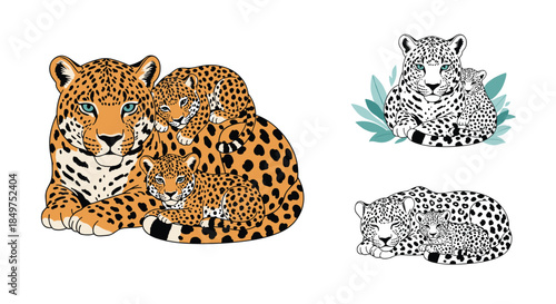 Beautiful illustration set of a mother jaguar and her adorable cubs in both full color and black and white line art styles.