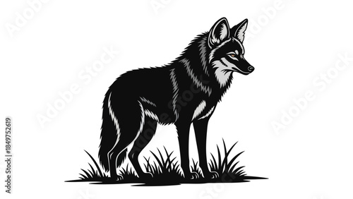 Black wolf standing in grassy field silhouette vector isolated on white background