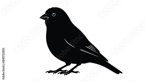 Black bird silhouette standing isolated on white background