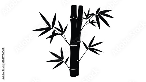 Minimalist black bamboo plant silhouette isolated on white background