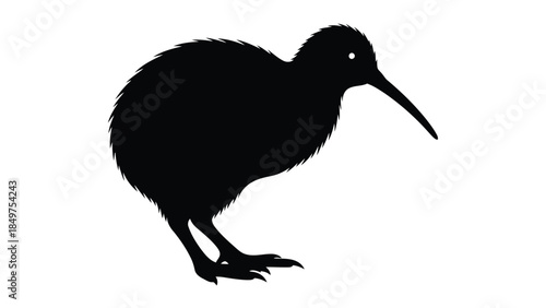 Black silhouette of a kiwi bird standing isolated on white background