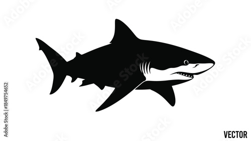 Black silhouette shark swimming on flat vector isolated on white background