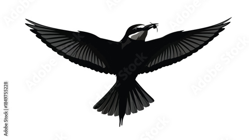 Black bird in flight silhouette with outstretched wings and insect isolated on white background