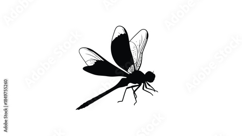 Black silhouette of a dragonfly isolated on white background