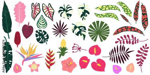 Tropical jungle leaves. Abstract summer plant. Beach leaf, graphic jungle. Drawing forest monstera palm and banana, hibiscus flower. Nature element for background. Vector design illustration set