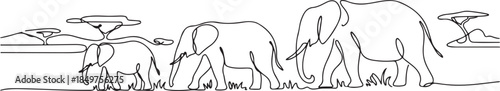 One continuous line drawing of Elephants in the vast savanna are looking for food vector illustration. one line Art icon drawing