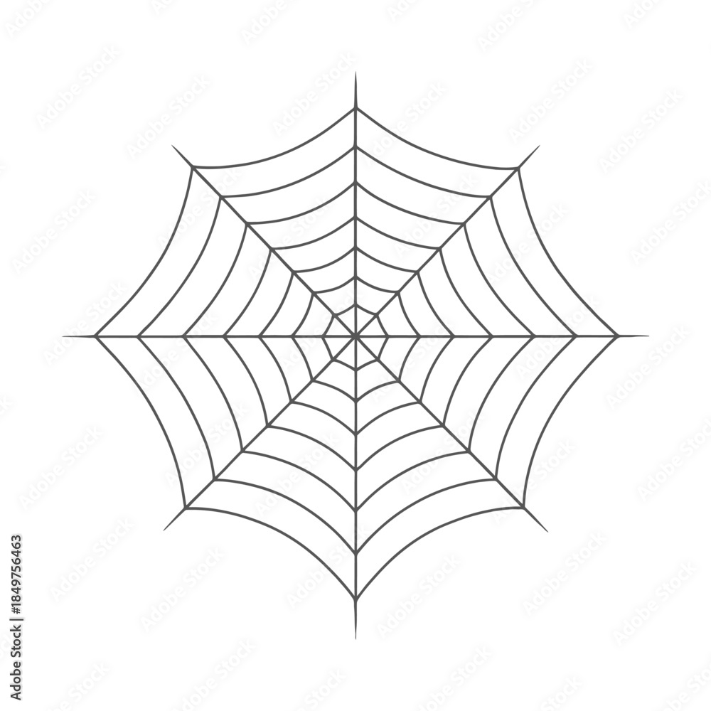 Fototapeta premium Symmetrical spider web design with radial pattern in black and white.