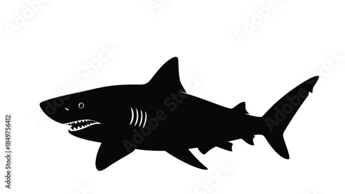 Black shark silhouette swimming isolated on white background