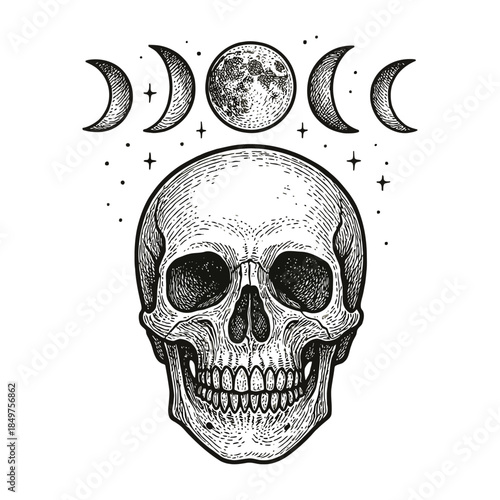 Intricate skull illustration with phases of the moon and stars in black and white design.