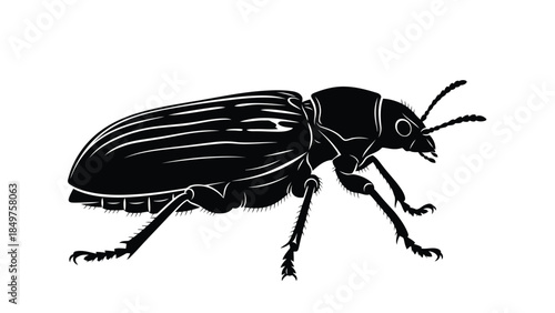 Black silhouette of a beetle insect isolated on white background