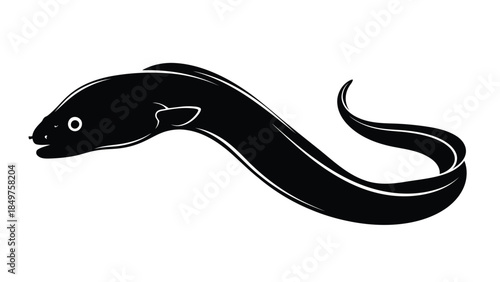 Black silhouette of an eel fish swimming isolated on white background