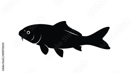 Black silhouette of a catfish swimming isolated on white background