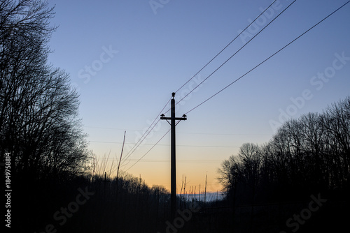 Power line silhouette in the forest