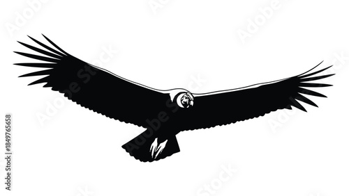 Black silhouette of an eagle in flight isolated on white background