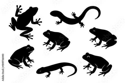 Silhouette collection of frogs and salamanders - amphibian shapes and poses.