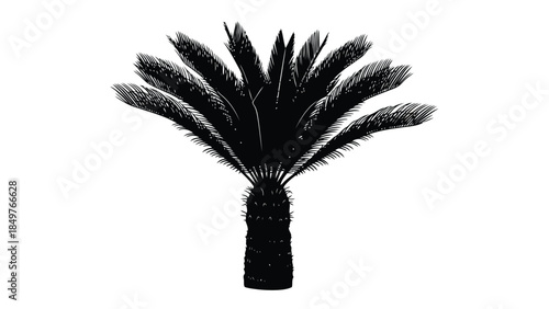 Black silhouette of a palm tree against a isolated on white background