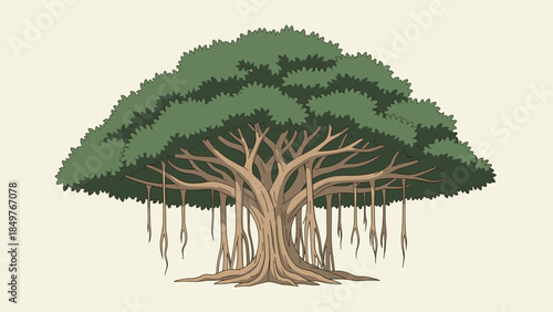 Banyan Tree with Aerial Roots Illustration.