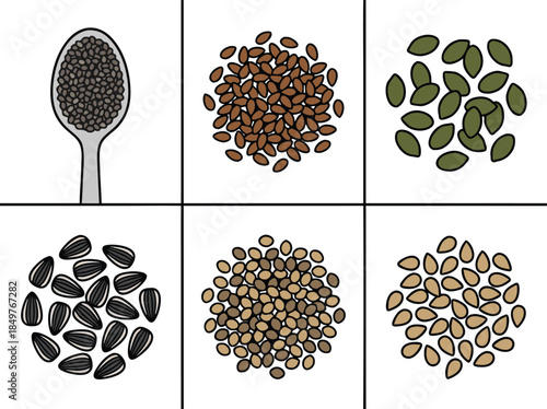 Various types of edible seeds illustration.