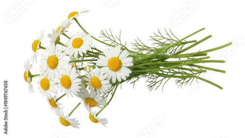 Isolated cheerful bouquet featuring daisies with bright yellow centers and green sprigs