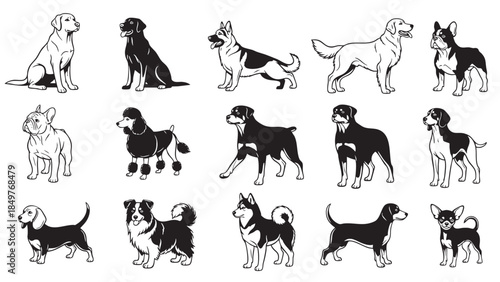 Collection of Various Dog Breeds Illustration in Flat Style