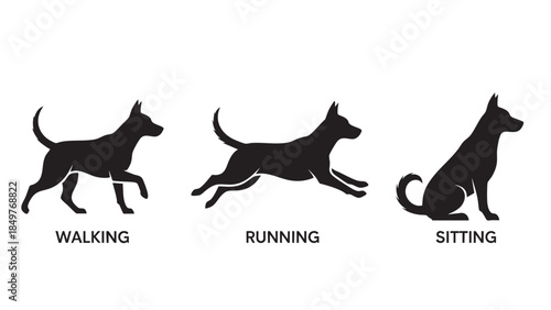 Dog Movement Silhouettes Walking Running Sitting Illustration