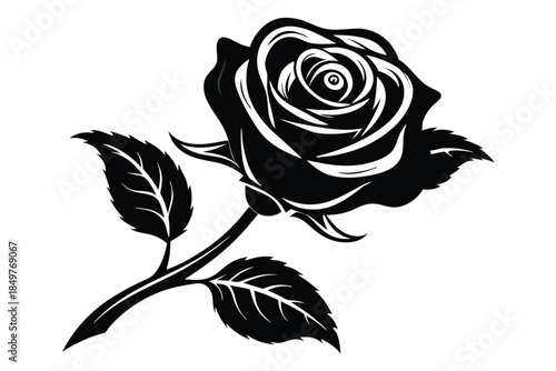 rose silhouette line art vector illustration