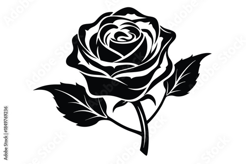 rose silhouette line art vector illustration