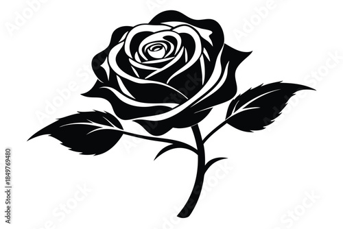 rose silhouette line art vector illustration