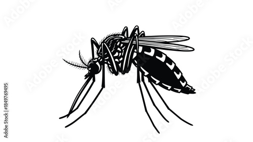 Black mosquito in flight with white spots on wings and body, vector flat illustration isolated on white background