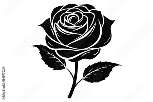 rose silhouette line art vector illustration