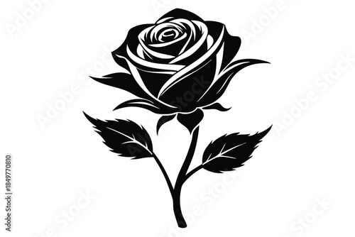 rose silhouette line art vector illustration