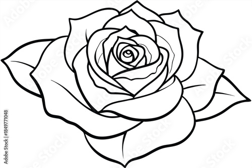 rose silhouette line art vector illustration