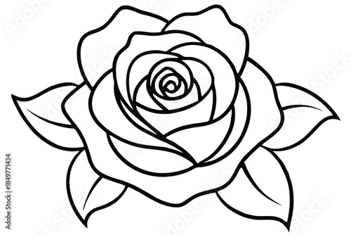 rose silhouette line art vector illustration