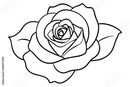 rose silhouette line art vector illustration