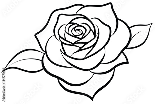 rose silhouette line art vector illustration