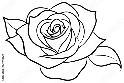 rose silhouette line art vector illustration