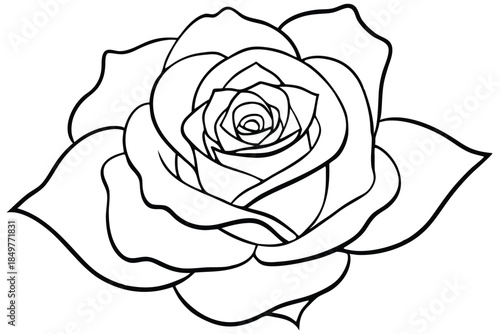 rose silhouette line art vector illustration