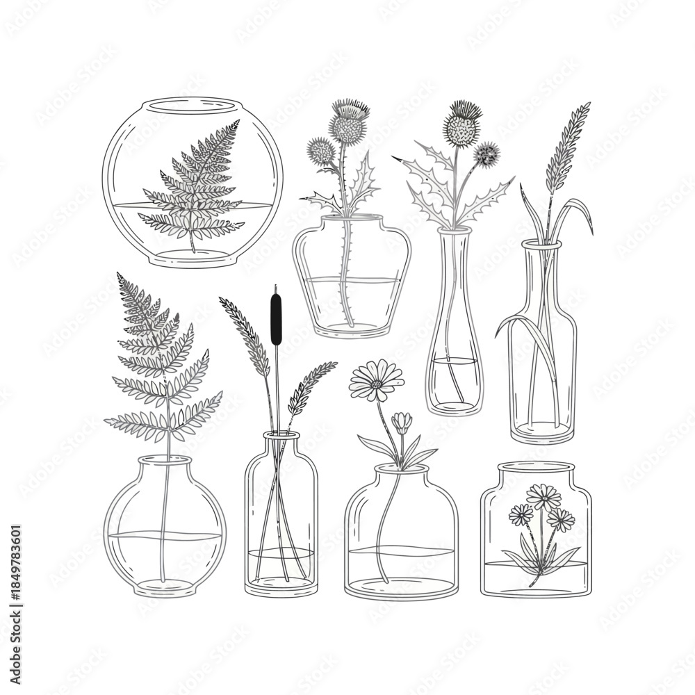 Obraz premium Delicate line art illustration of various potted and cut plants in unique glass containers for